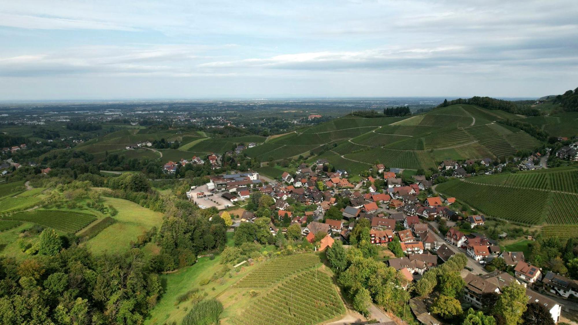 Renatas Ferienwohnung Wohnung David Sasbachwalden Exteriér fotografie